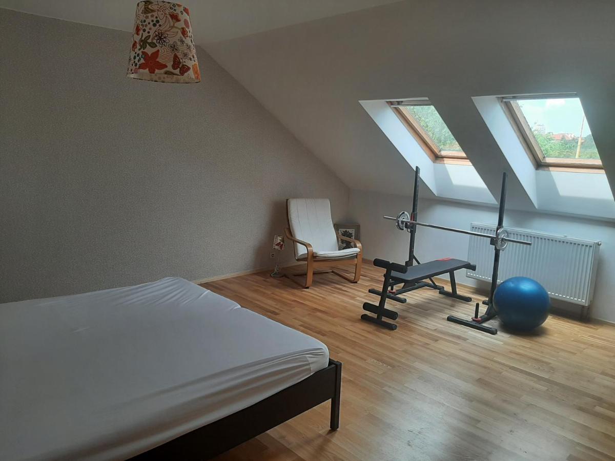Apartman Dvorak 194 Pod Svatou Horou Pribram Exterior photo