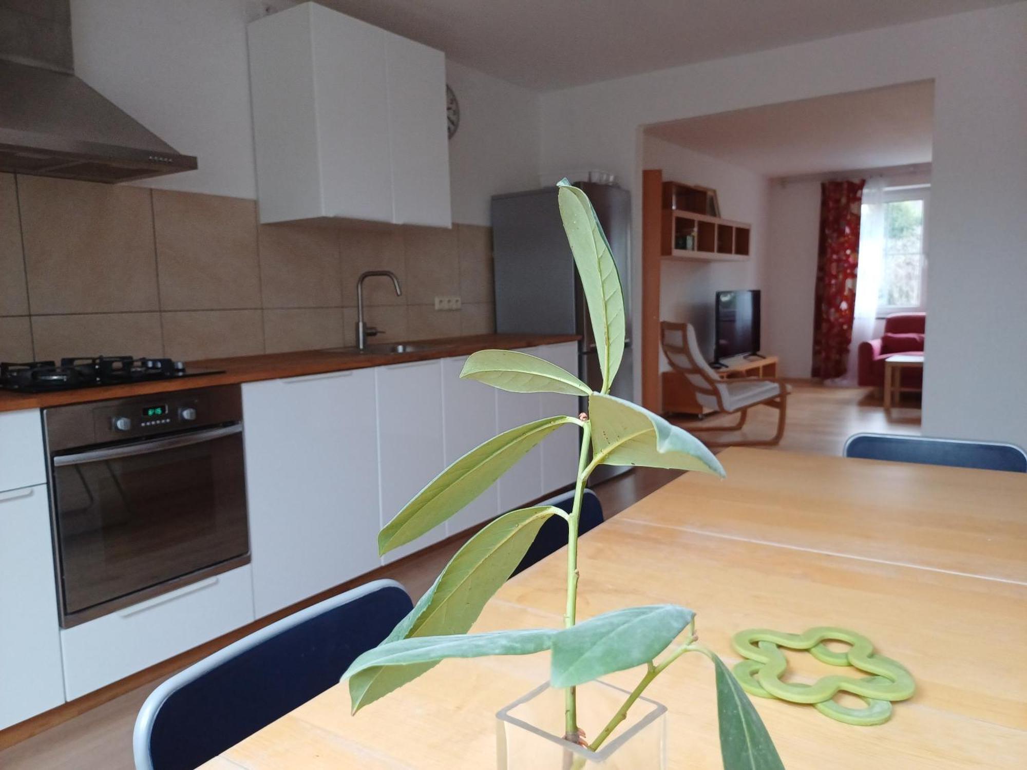Apartman Dvorak 194 Pod Svatou Horou Pribram Exterior photo
